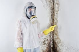 Why You Should Choose Our Mold Remediation Services in Greenville, RI